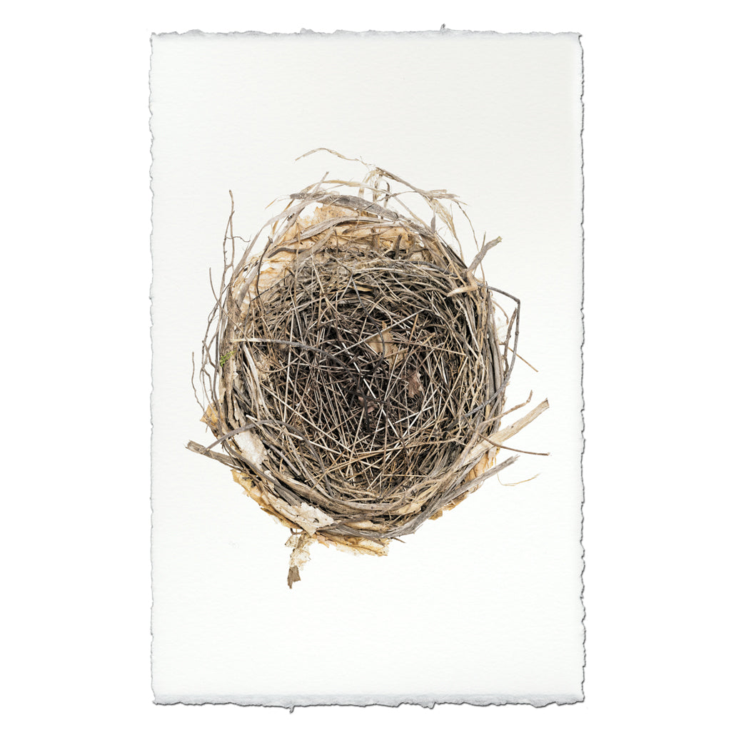 Sparrow's Nest