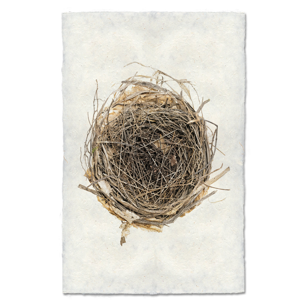 Sparrow's Nest