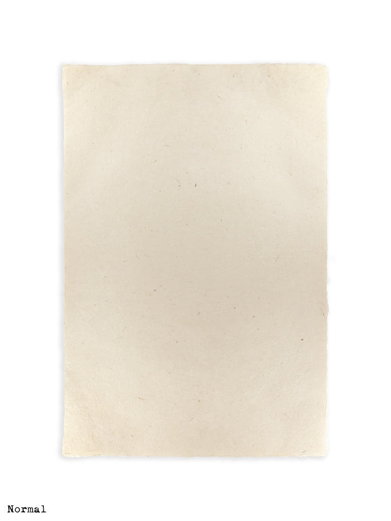 Normal Blank