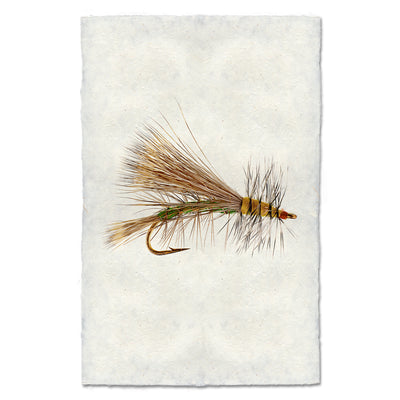 Olive Stimulator