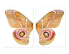 Papilionoidea #5 Diptych
