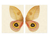 Papilionoidea #7 Diptych