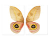 Papilionoidea #7 Diptych