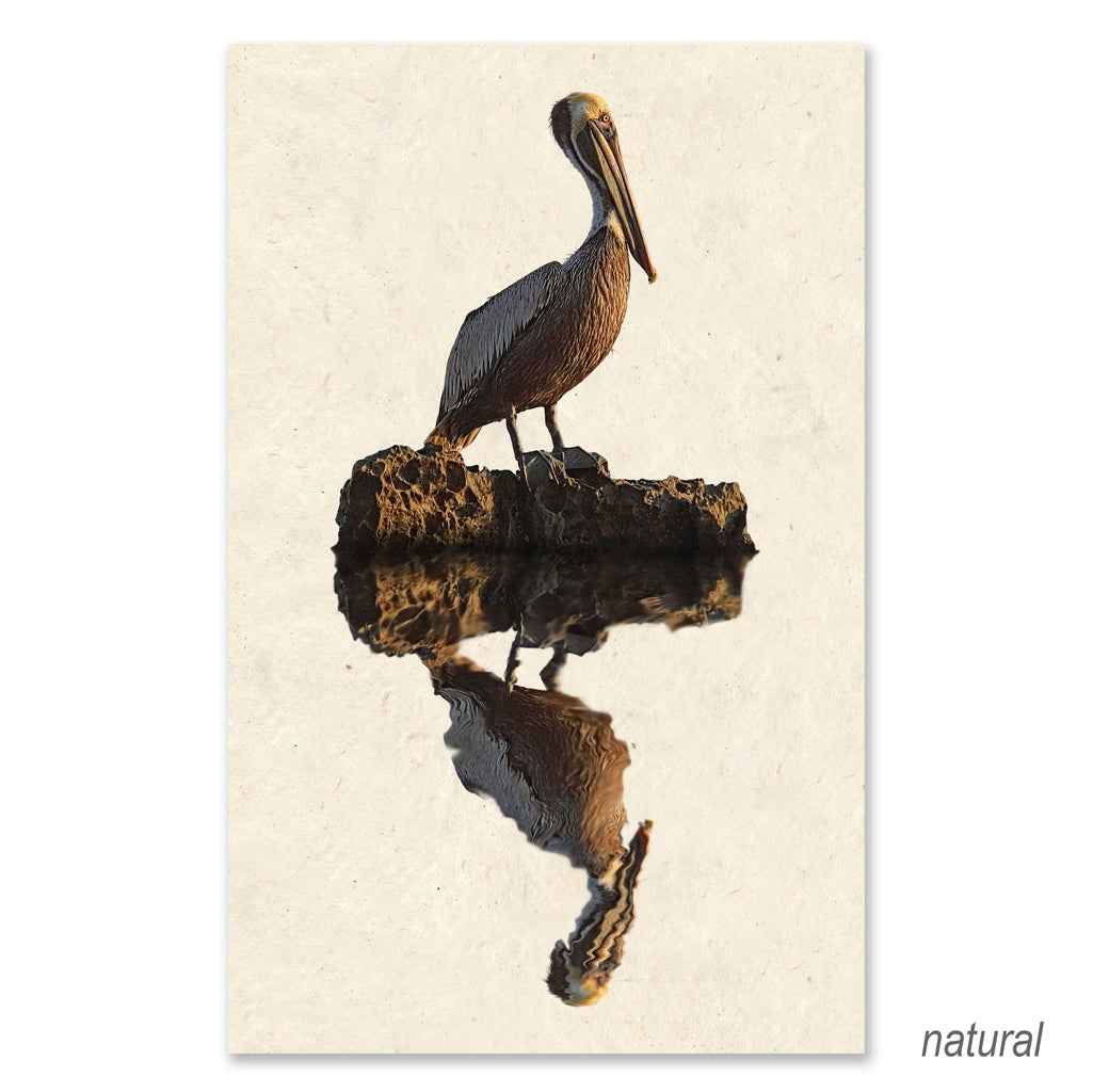 Pelican grand format