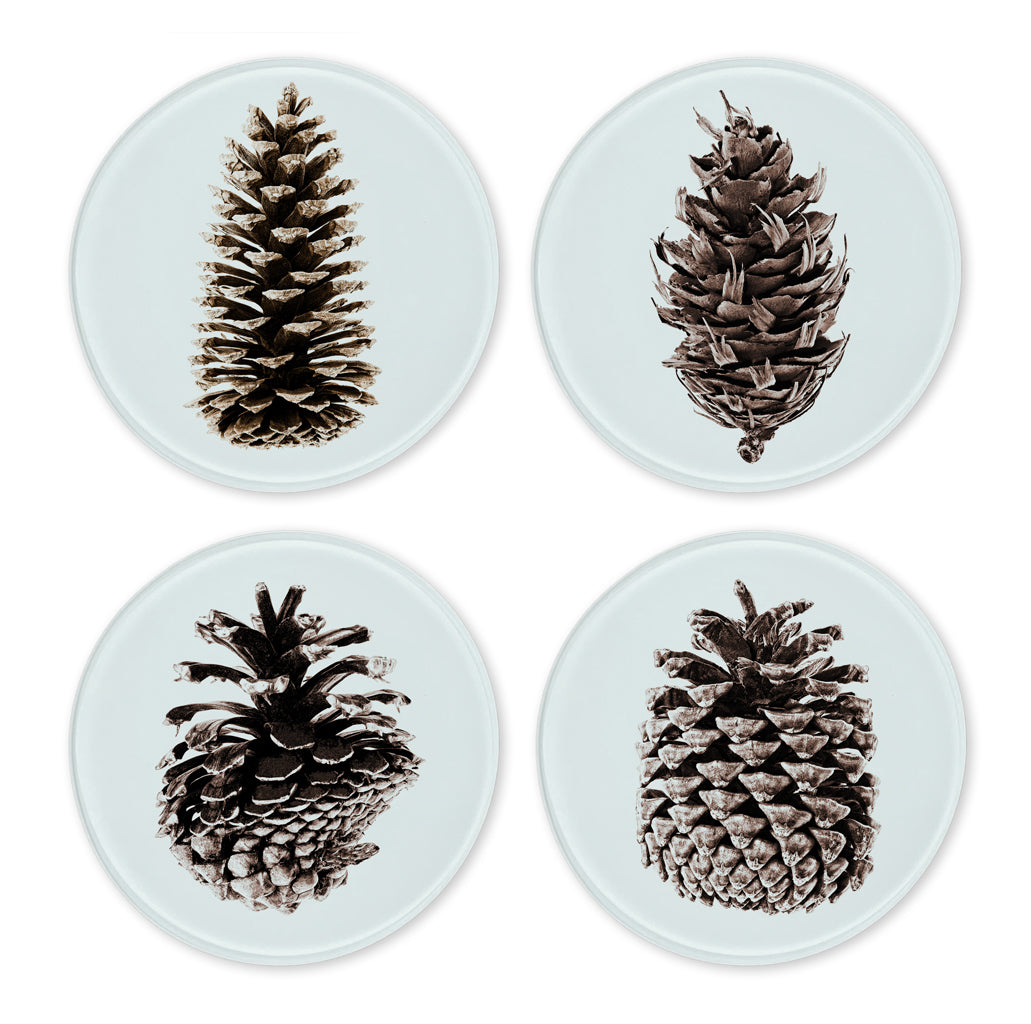 Glass Coasters (set of 4)