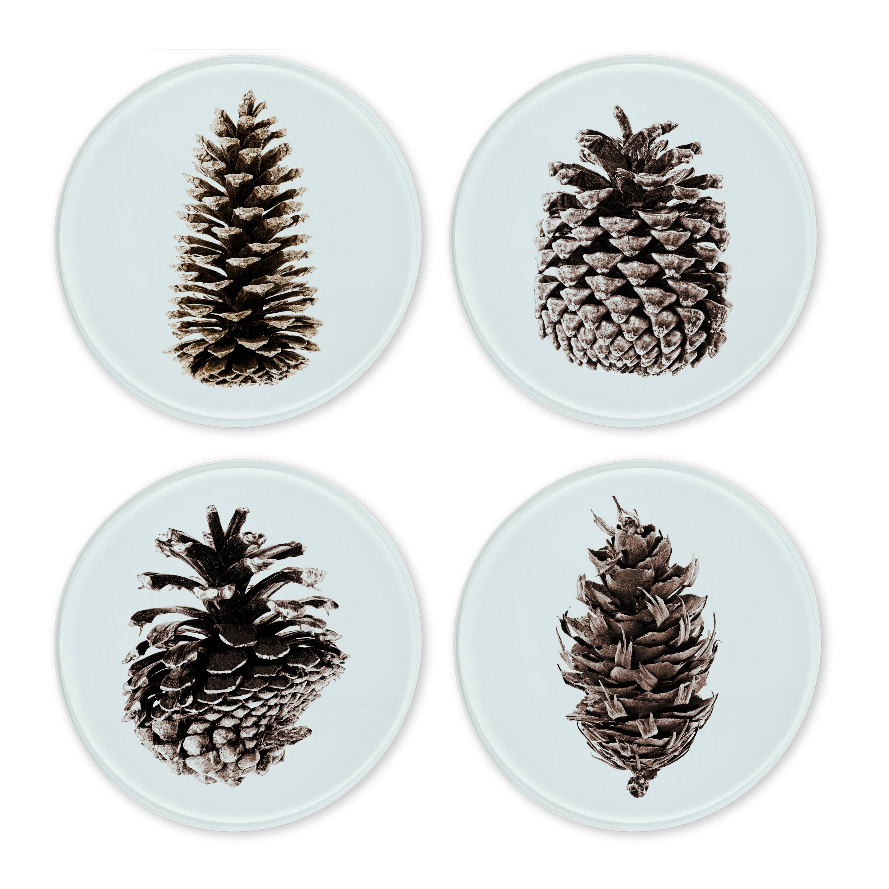 Glass Coasters (set of 4) - Pine Cones