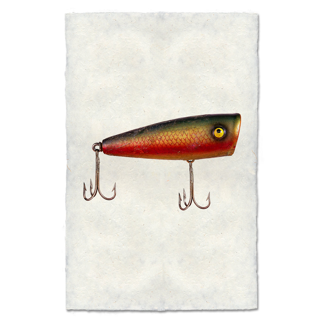 Popper — BARLOGA STUDIOS- fine photographs on intriguing papers