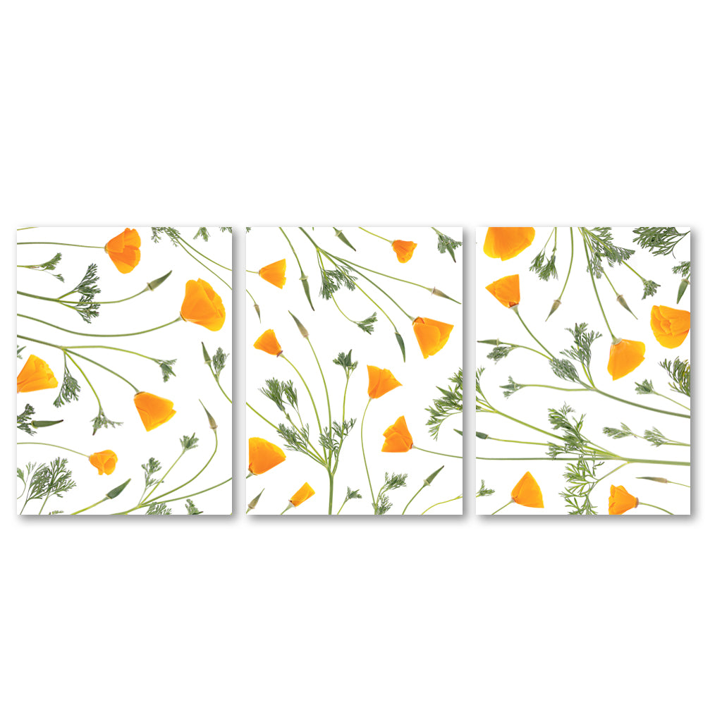 California Poppy Trilogy