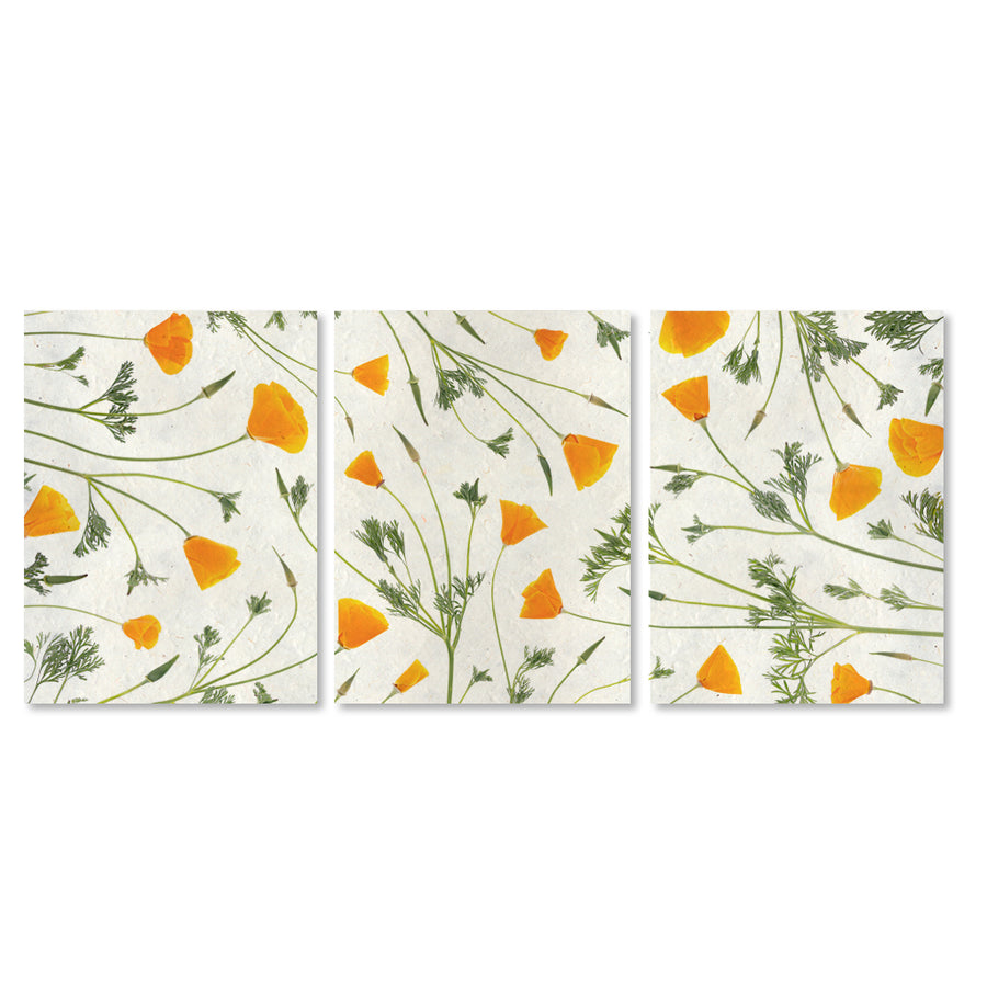 California Poppy Trilogy