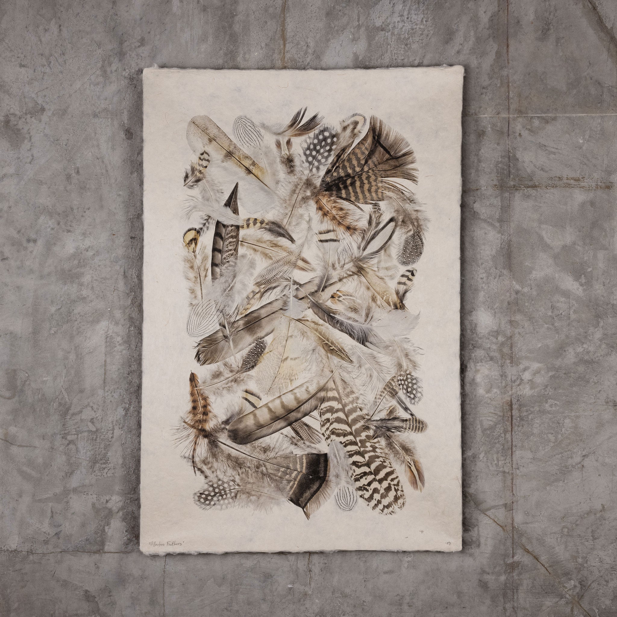 Collective Feathers Display (20"x30")
