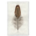 Ring Neck Pheasant colored feather wall art print — fine art feather photography on handmade paper, San Francisco