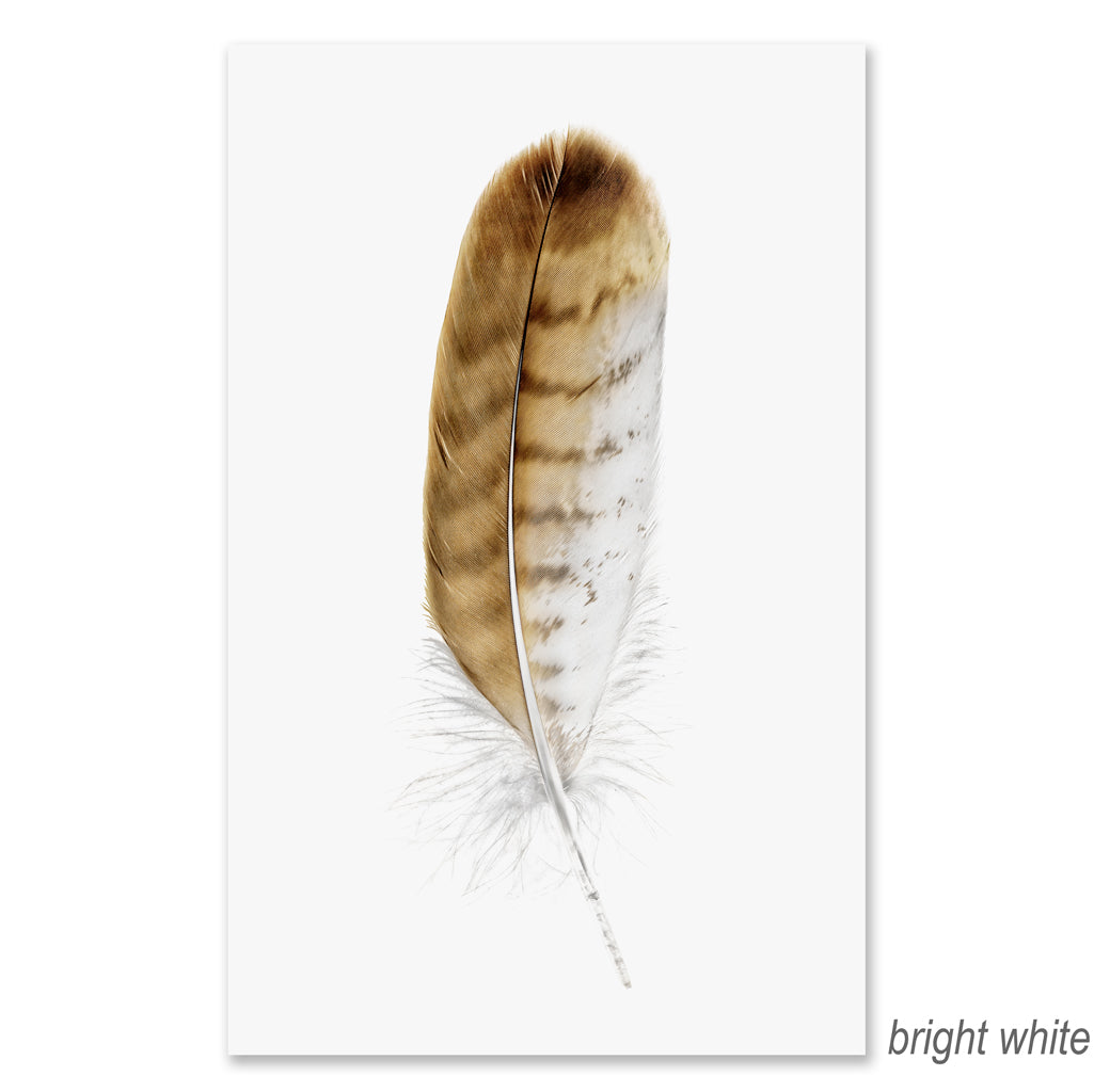 Red-Tailed Hawk grand format