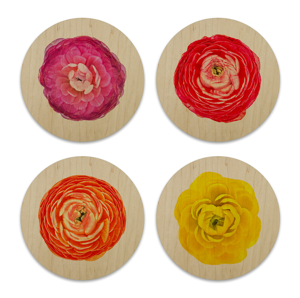 Wood Coasters (set of 4)