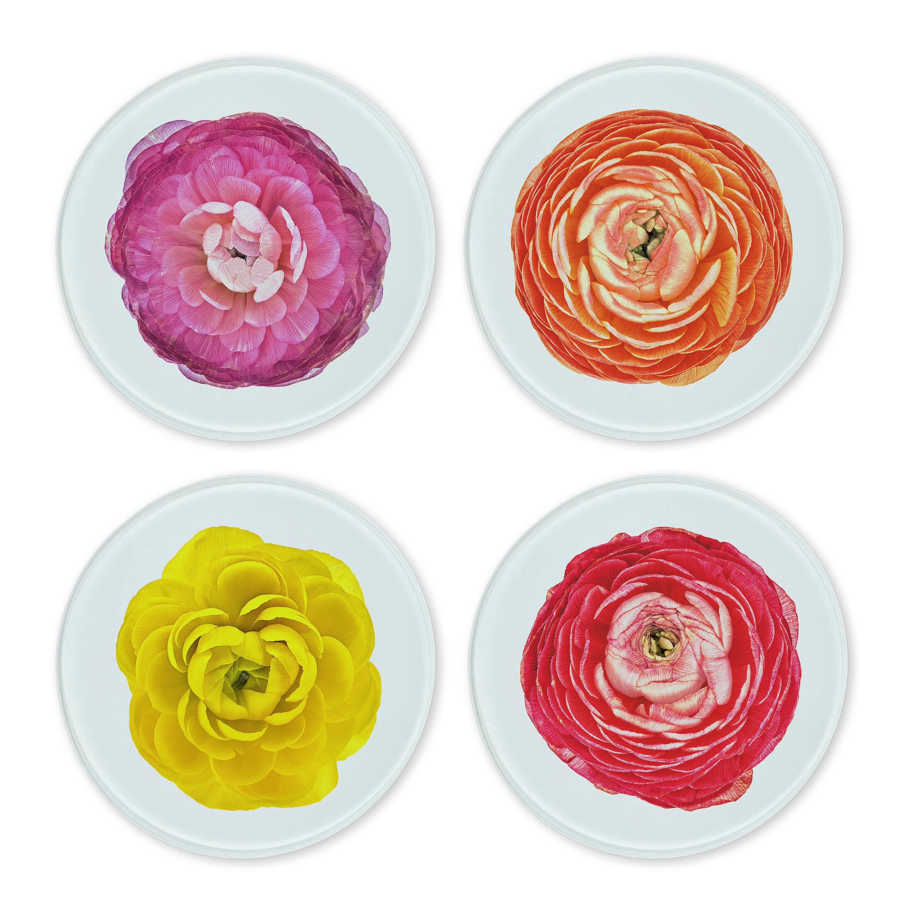 Glass Coasters (set of 4) - Ranunculus