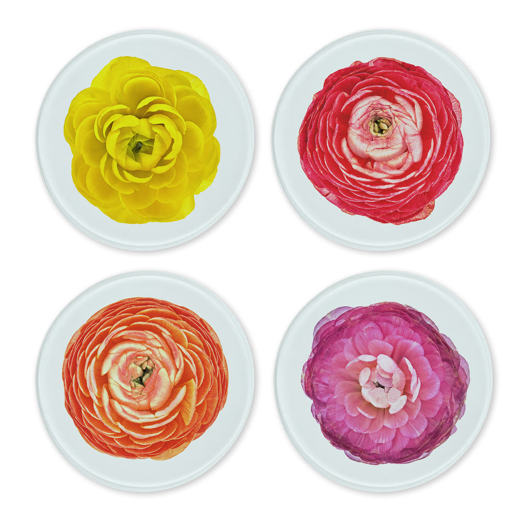 Glass Coasters (set of 4)