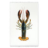 Maine Lobster (Natural)