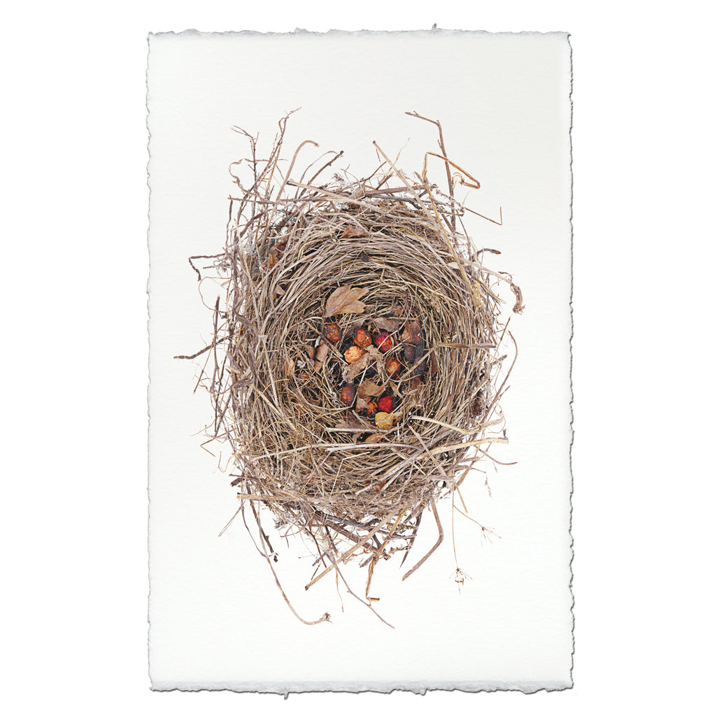 Red Berry Nest
