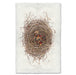 Red Berry Nest bird's nest wall art print — fine art avian photography on handmade paper, San Francisco