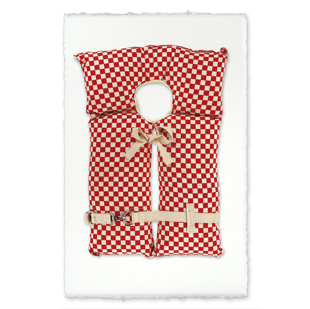 Red-Checkered Life Vest