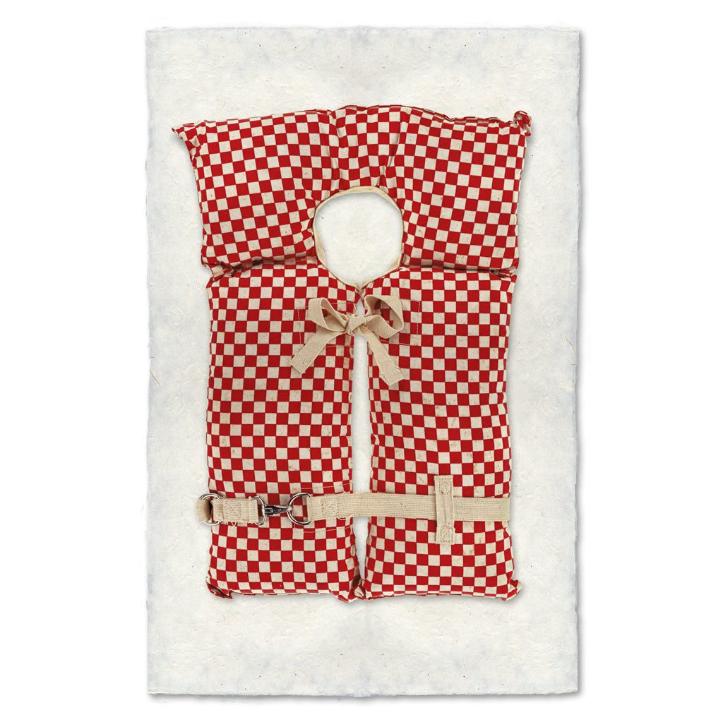 Red-Checkered Life Vest