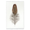 Ring Neck Pheasant