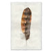 Rooster colored feather wall art print — fine art feather photography on handmade paper, San Francisco