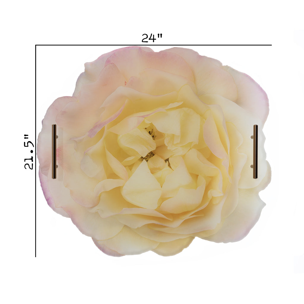 Pink & Yellow Rose