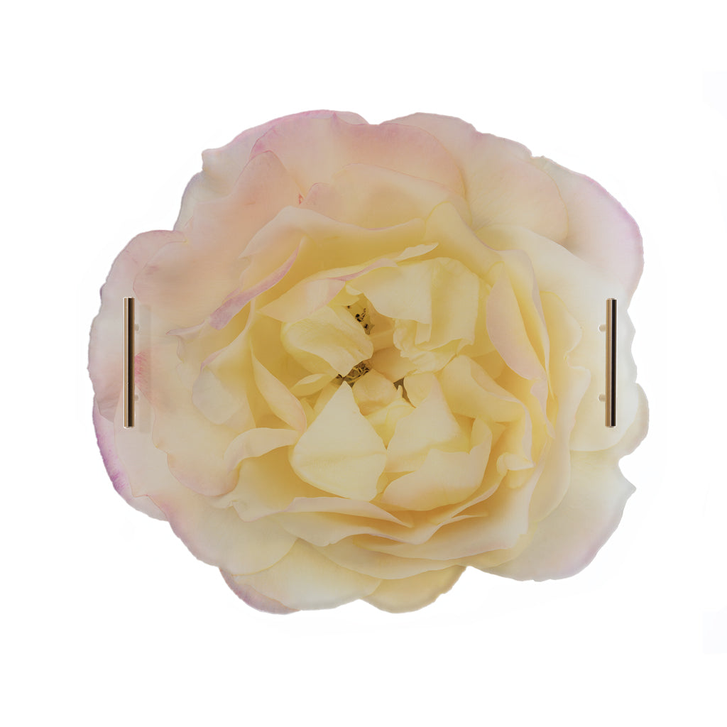 Pink & Yellow Rose