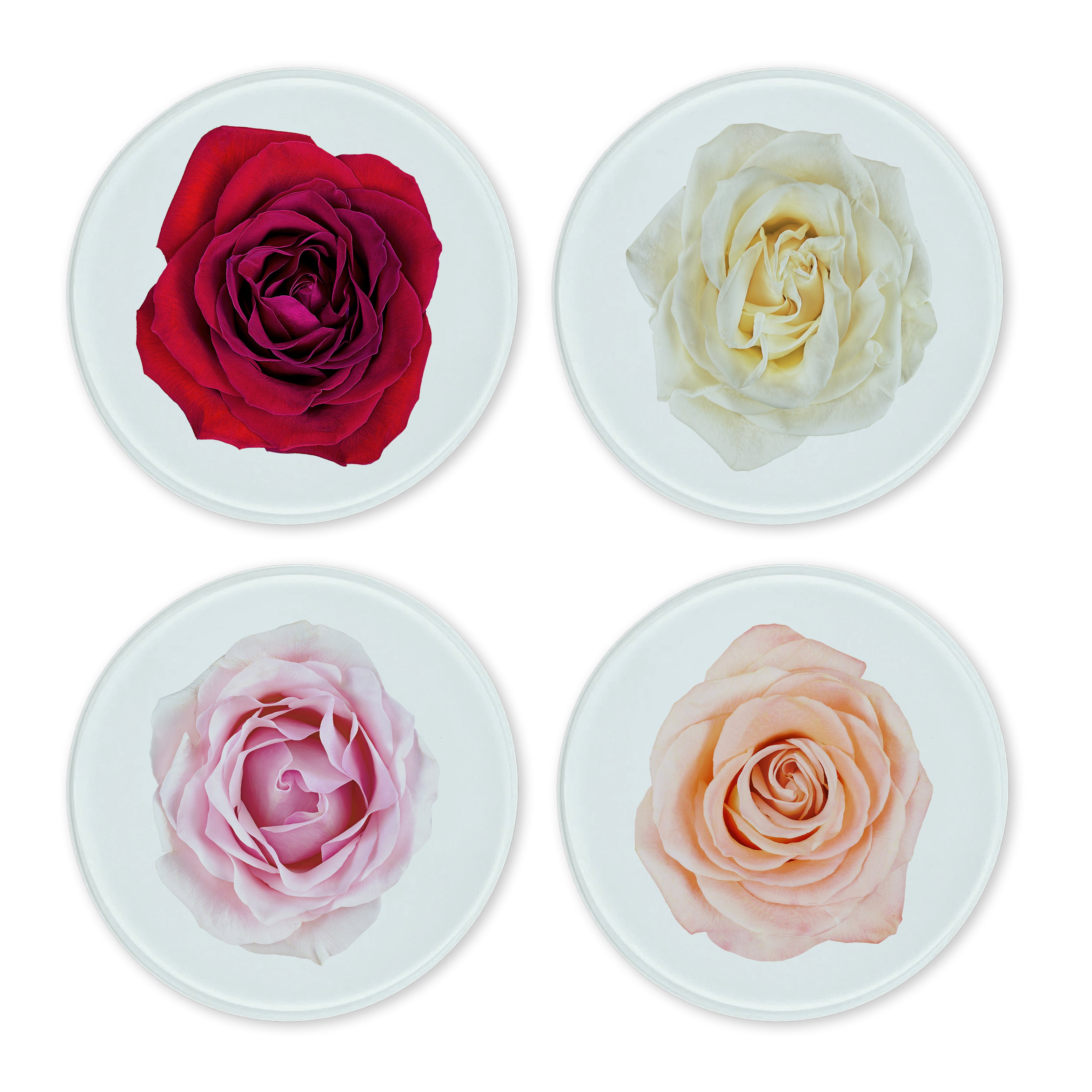 Glass Coasters (set of 4) - Roses