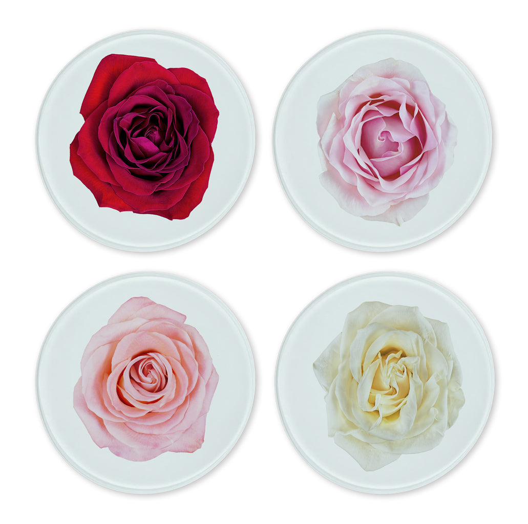 Glass Coasters (set of 4)