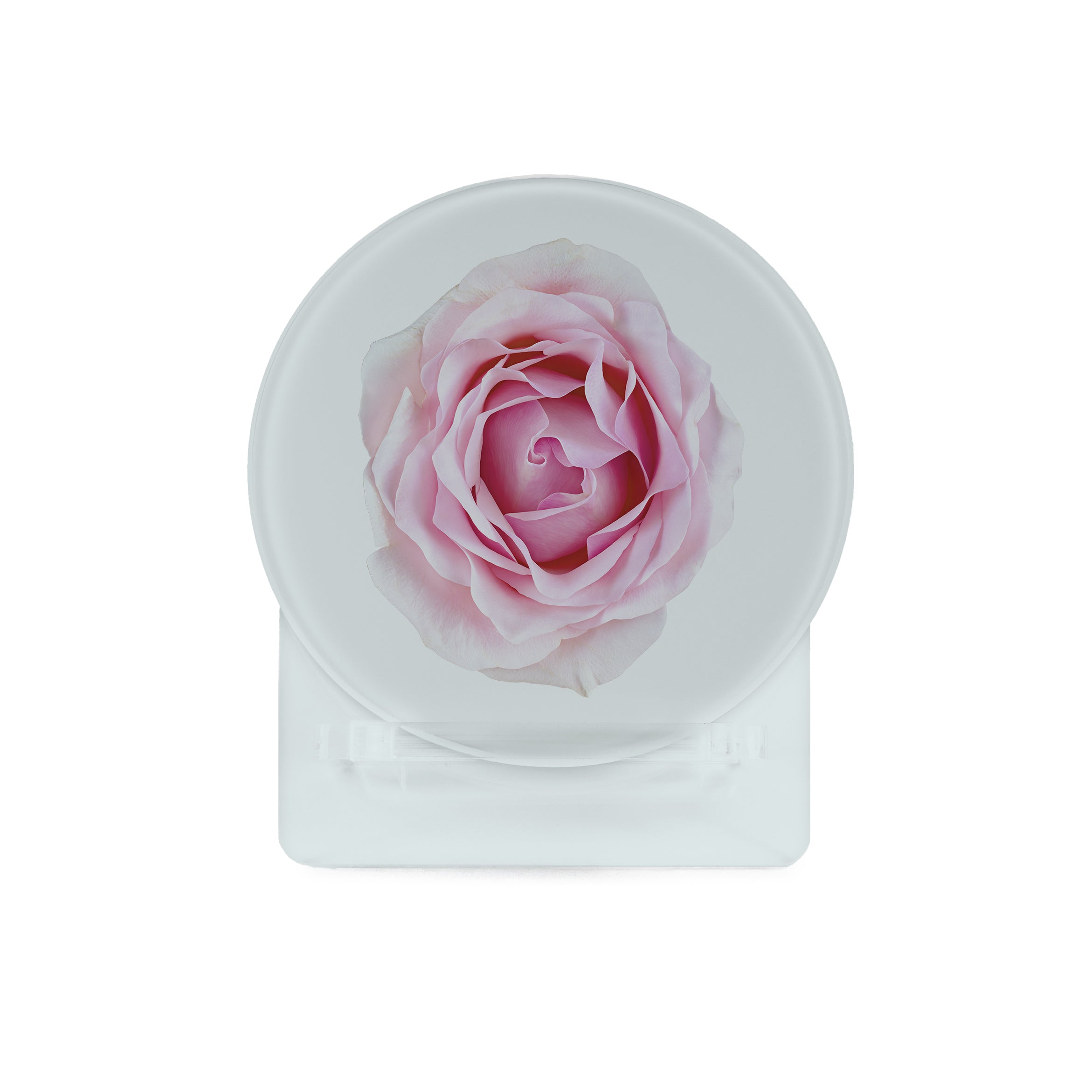 Glass Coasters (set of 4) - Roses