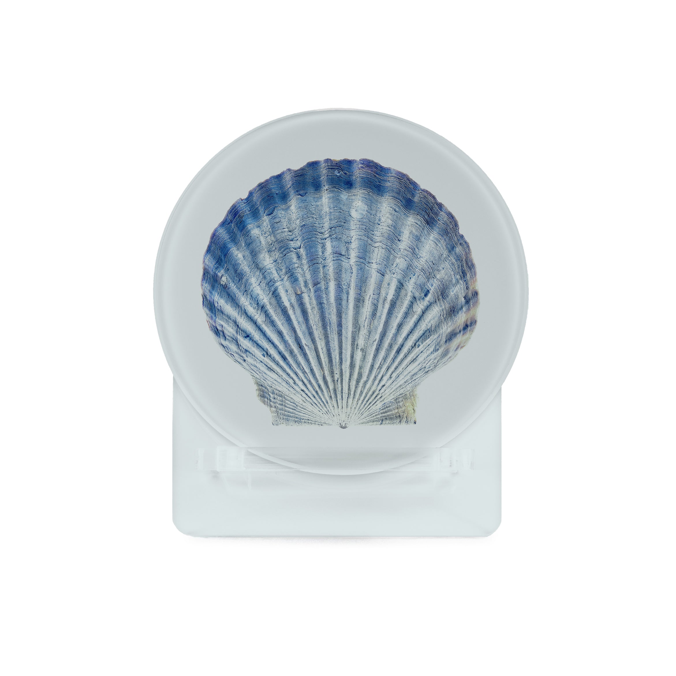 Glass Coasters (set of 4) - Scallop