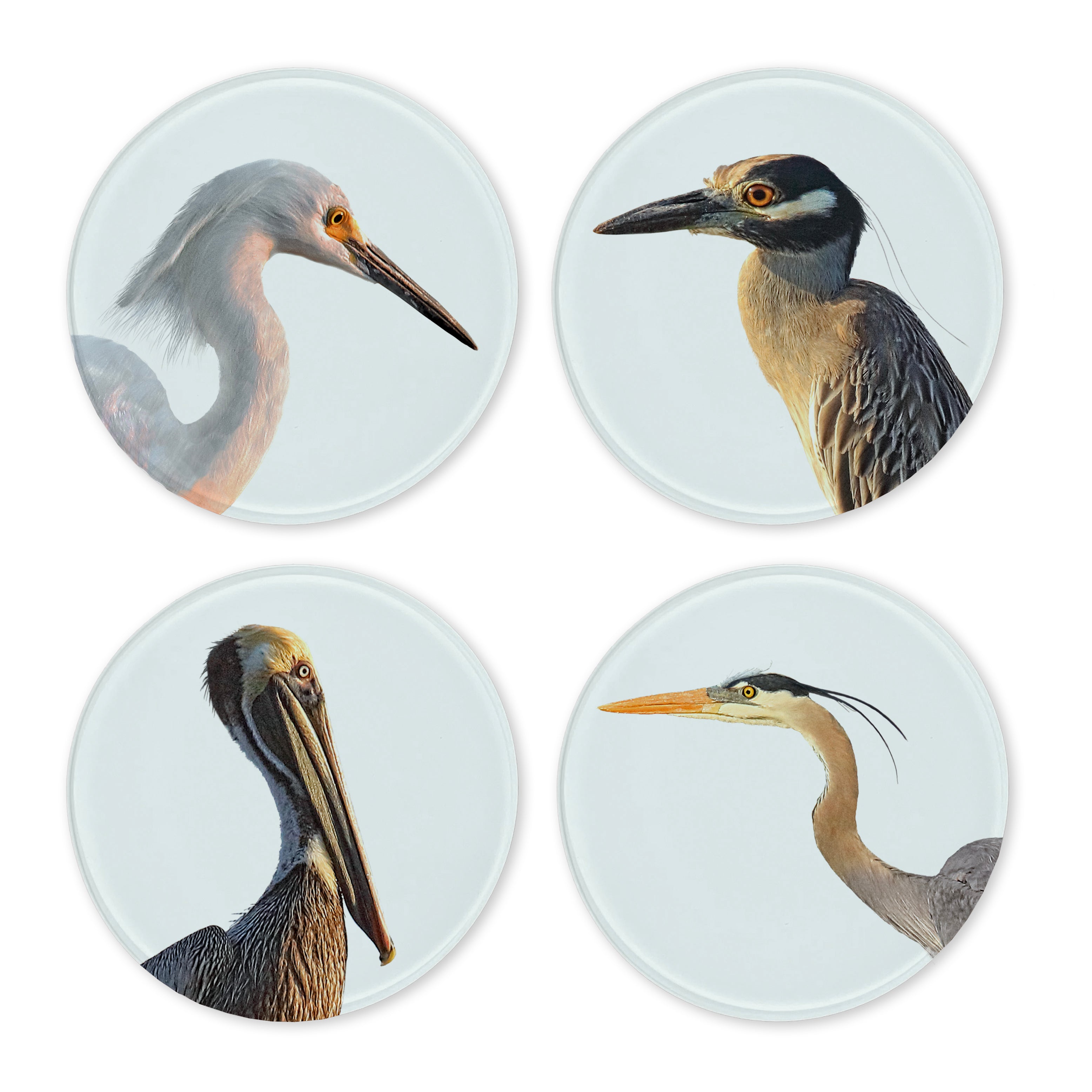 Glass Coasters (set of 4) - Shorebirds