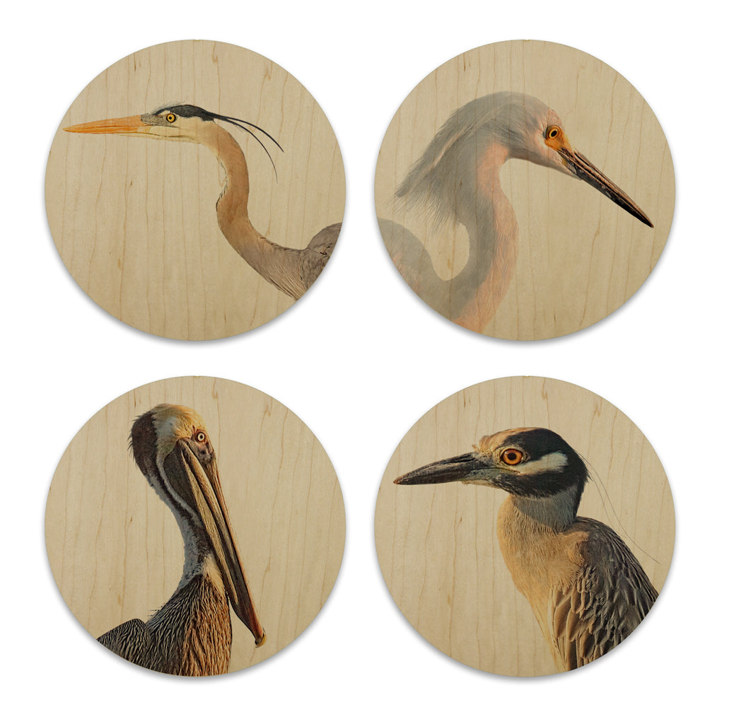 Wood Coasters (set of 4)