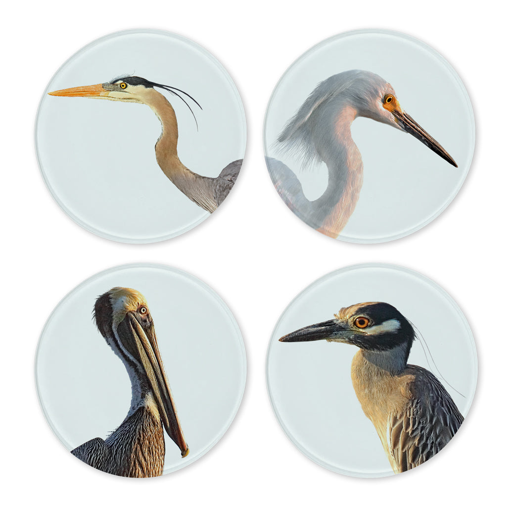 Glass Coasters (set of 4)