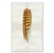 Short-Eared Owl colored feather wall art print — fine art feather photography on handmade paper, San Francisco