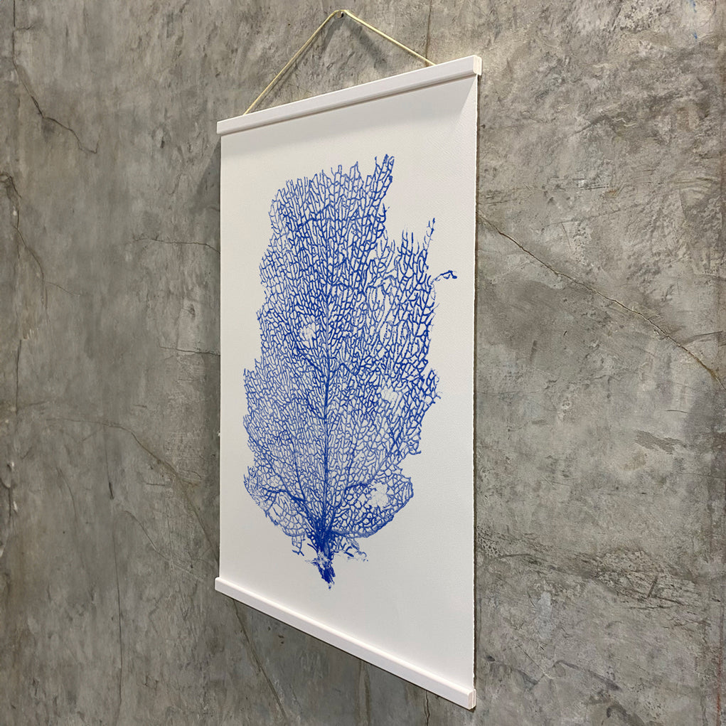 Hanging Accessories — BARLOGA STUDIOS- fine photographs on intriguing ...