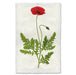 Single Poppy #3 floral wall art print — fine art botanical photography on handmade paper, San Francisco