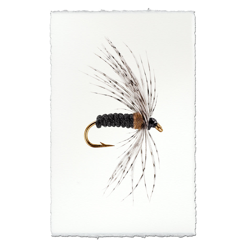 Soft Hackle