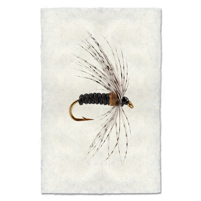 Soft Hackle