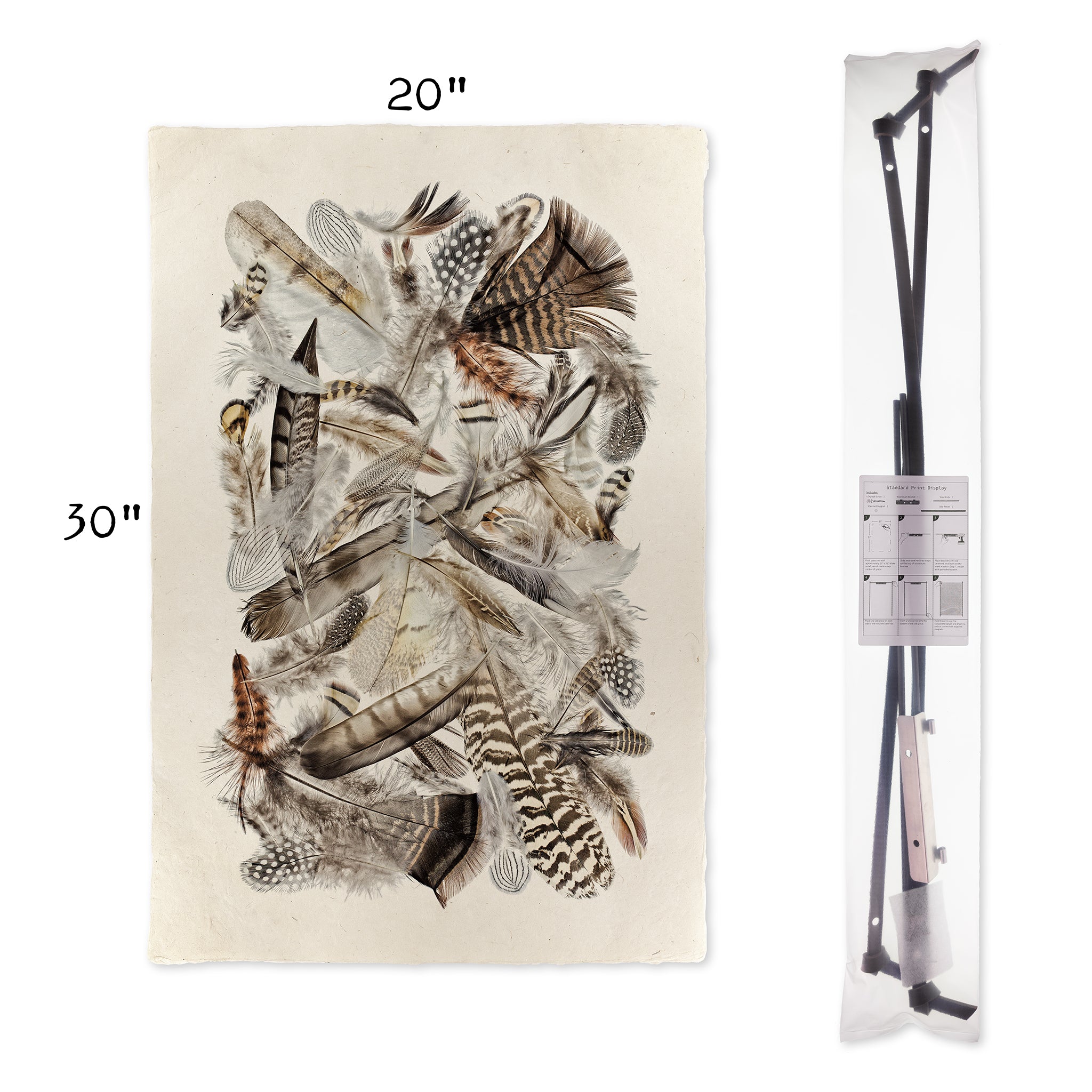 Collective Feathers Display (20"x30")
