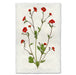 Water Avens floral wall art print — fine art botanical photography on handmade paper, San Francisco
