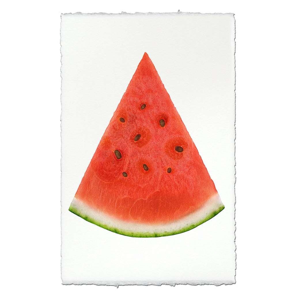 Watermelon — BARLOGA STUDIOS- fine photographs on intriguing papers