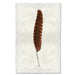 Woodcock colored feather wall art print — fine art feather photography on handmade paper, San Francisco