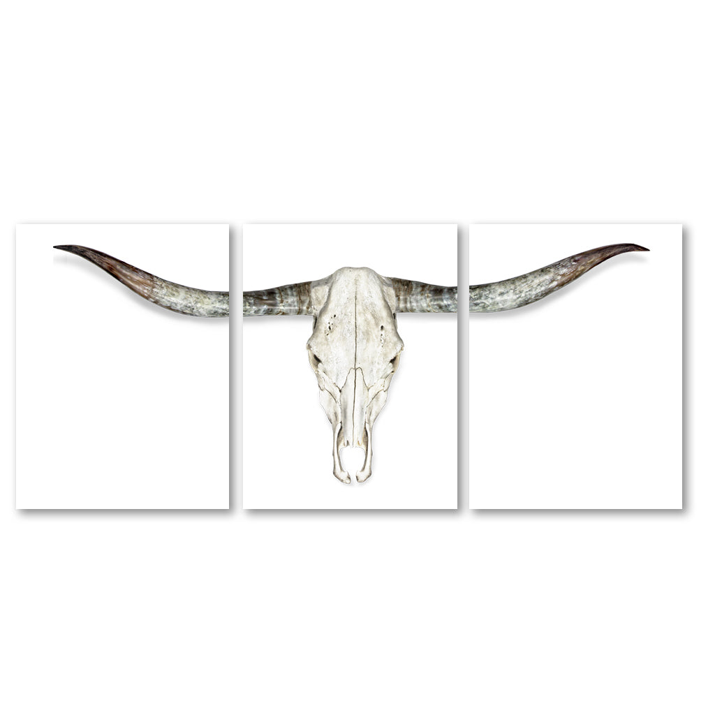 Longhorn Triptych