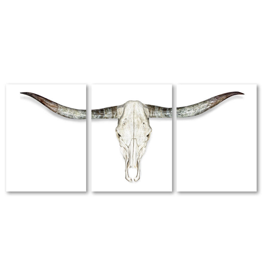 Longhorn Triptych