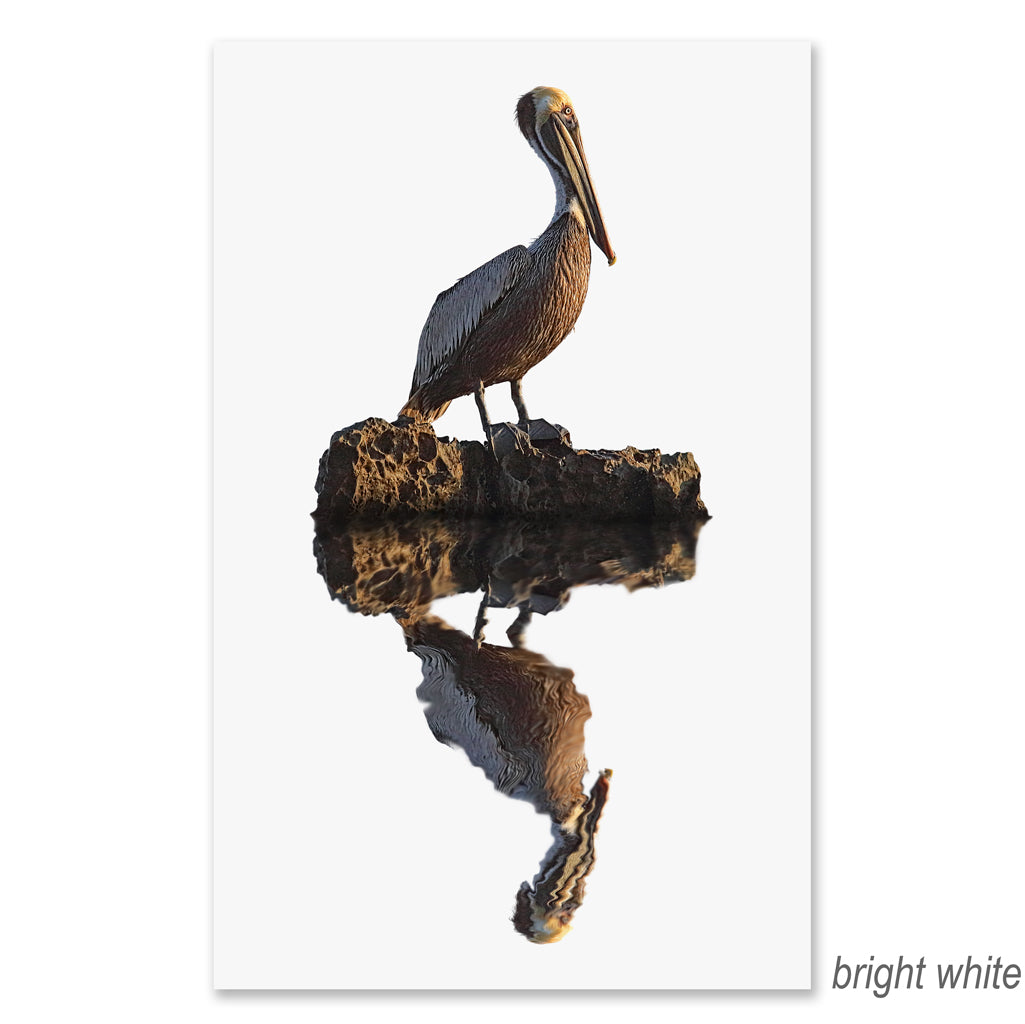 Pelican grand format