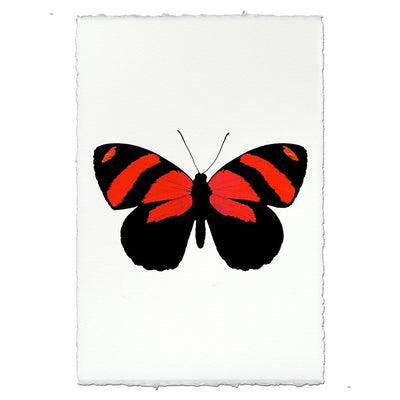 Butterfly #10