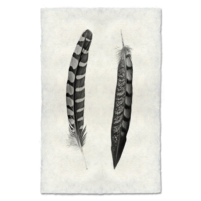 2 Curved Feathers (Partridge Wing / Lady Amherst Pheasant Tail)