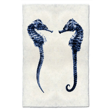 Double Seahorse coastal wall art print — fine art coastal photography on handmade paper, San Francisco